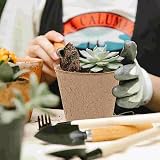 BIPY 50x 8cm Round Biodegradable Seed Pots for Seedlings Plant Labels Dibber view 3