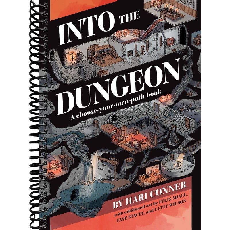 Into the Dungeon: A Choose-Your-Own-Path Book at Amazon
