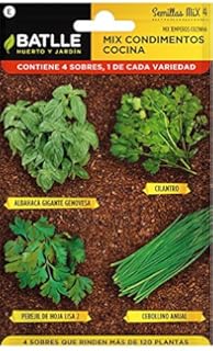 Semillas Fitó 3777 - Perejil Gigante Italiano: Amazon.es: Jardín