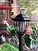 Solar Powered Electric Bug Light Zapper- Outdoor Cordless Flying Insect Killer- 8 Hour Operation- Beautiful Garden Lamp- Portable LED Machine- Best Stinger for Mosquitoes/Moths/Flies & More (Black)