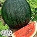 Sugar Baby Watermelon Seeds - 50 Seeds NON-GMO primary