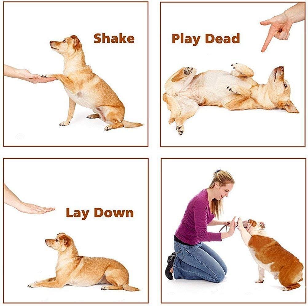 vantax handheld dog repellent