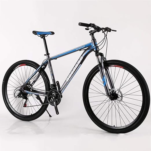 29 inch road bike