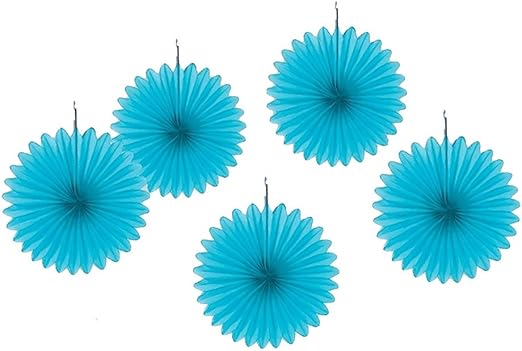 Amazon Com G2player Tissue Paper Fan Decoration Hanging Party