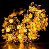 Ehome Blossom Flower Solar String Light, 23ft 50 LED Waterproof Christmas Outdoor Decorative Lighting for Patio, Lawn, Garden, Wedding, Party, Holiday, Festivals (Warm white)