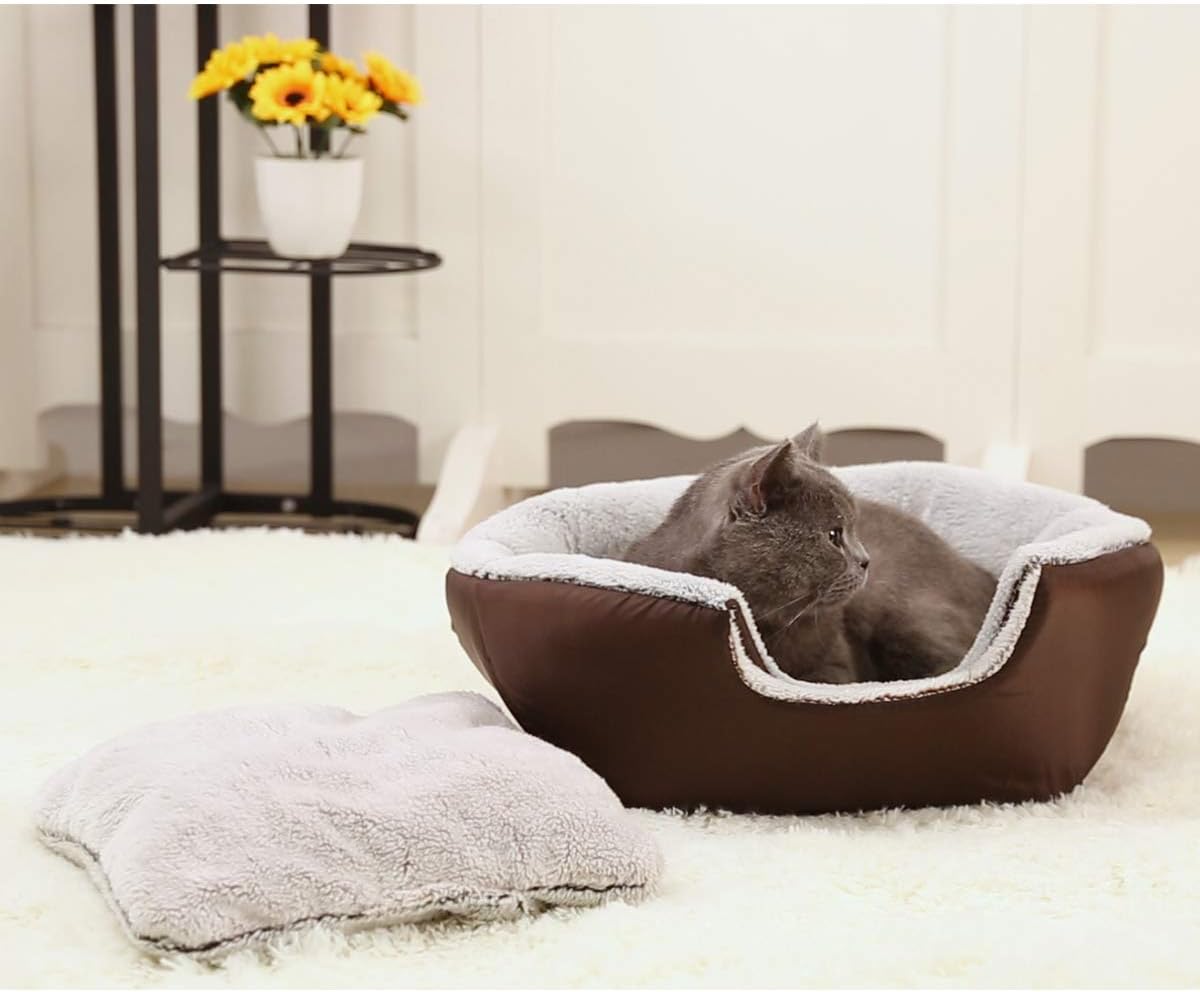 Hollypet Coral Velvet Self-Warming 2 in 1 Foldable Cave House Shape Nest Pet Sleeping Bed for Cats and Small Dogs, Gray : Pet Supplies
