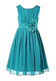 Bow Dream Little Girls Elegant Ruffle Chiffon