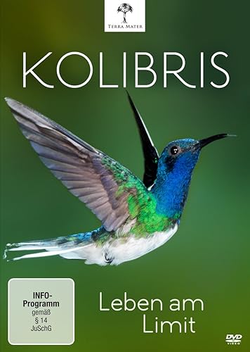 Amazon Com Kolibris Leben Am Limit Movies Tv