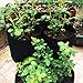 Ouyilu Garden Plant Bag Vegetables Growing Container for Potato Cultivation Grow Bagsthumb 4