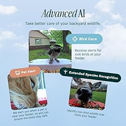 BIRD BUDDY® Original Smart Bird Feeder with