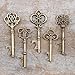 Ella Celebration 50 Key Bottle Openers, Assorted Vintage Skeleton Keys, Wedding Party Favors (50, Antique Gold)