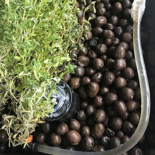 Sistema de Acuaponía para la cría de Peces y Cultivo de Plantas ...