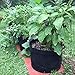 Fasunry Grow Bags 5 Gallon/7 Gallon/10 Gallon, 6 Pack Durable Fabric Planting Pots with Strap Handles, Perfect for Vegetables and Fruits