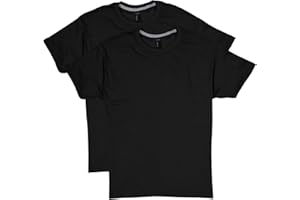 Hanes Mens X-Temp Performance T-Shirt Pack, Cotton Blend Moisture-Wicking Tees for Men, 2-Pack