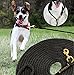 30’ Check Cord Dog Training Leash; 30-Foot Dog Check Cord / Lead for Obedience, Hunting Dog & Field Training