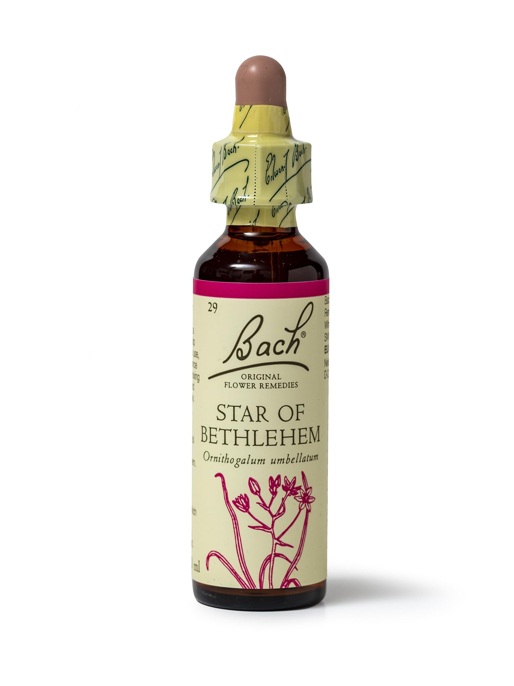 Bach Original Flower Remedies Star Of Bethlehem, Find Joy & Hope, Be Comforted, Emotional Wellness, Natural Flower Essence, 20ml