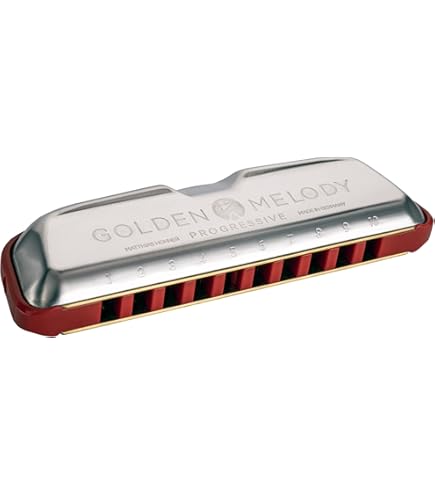 希少！　Hohner Golden Melody ハーモニカ Amazon.com: HOHNER Golden Melody Progressive Harmonica B