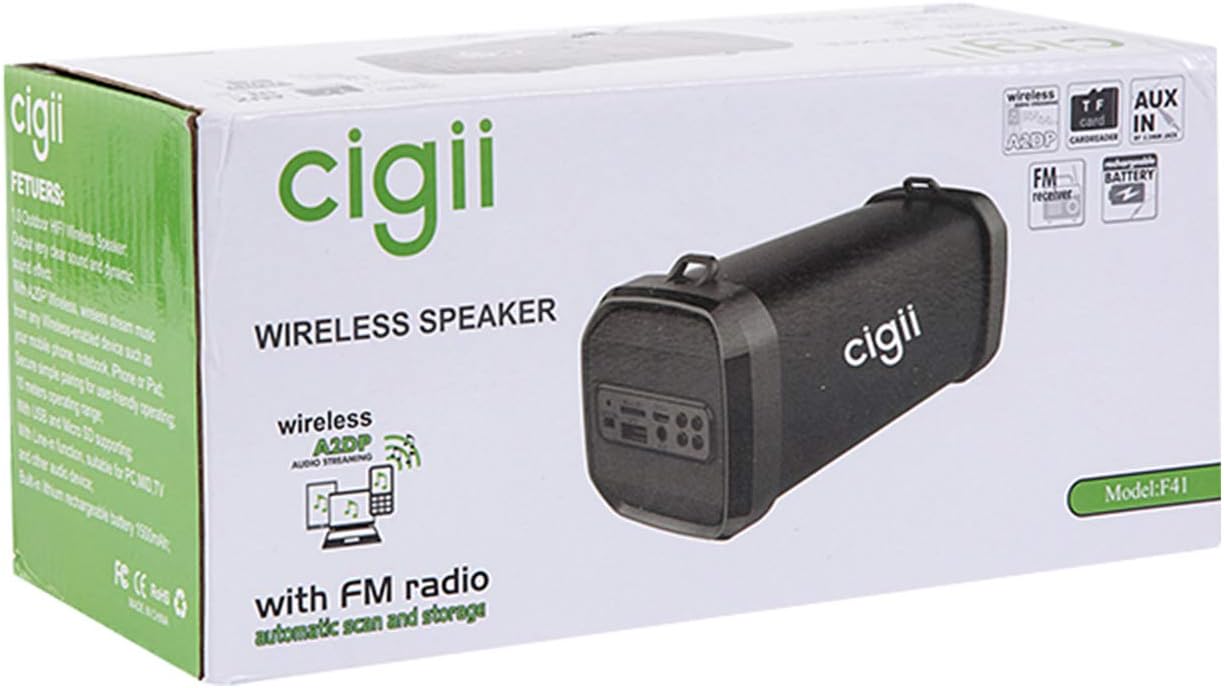 cigii speaker