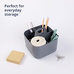 BLUE GINKGO Multipurpose Caddy Organizer