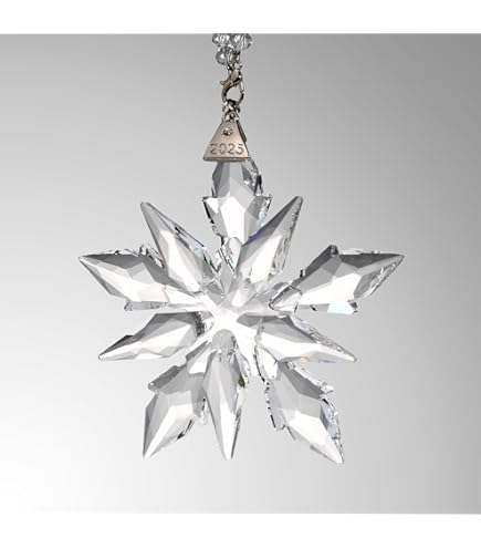 Amazon.com: Baccarat 2018 Annual Crystal Christmas Ornament