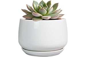 G EPGardening Ceramic Pots for Plants - 6 Inch Planter for Indoor Plants, Flower Pots with Drainage and Ceramic Tray, Modern Office Decor, Gifts for Plant Lovers, White