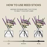 Cocod'or Lavender Reed Diffuser White Jasmine 6.7oz Home Fragrance view 4
