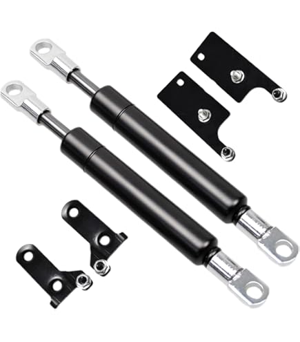 Amazon.com: TSUBASA Rear Tailgate Assist Shock Strut Kit for
