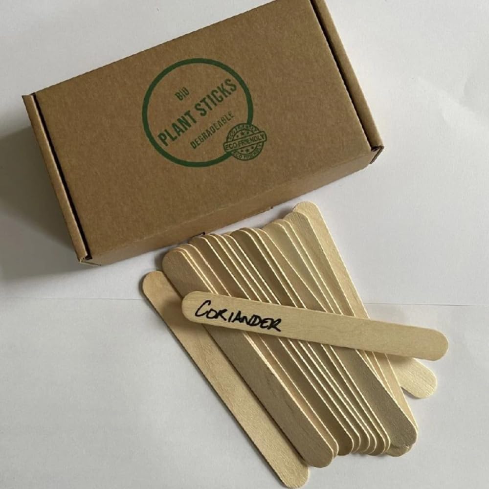 100 x Large Biodegradable Blank Wooden Seed, Herb and Plant Labels
