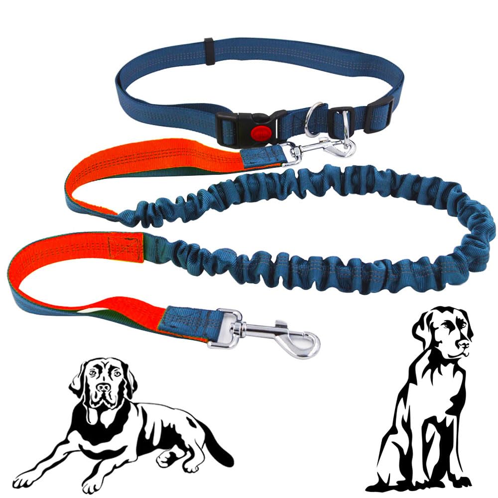 Senvenelec Dog Lead, Orange+Grey, 155 cm, Nylon, Reflective, Adjustable Belt Handle for Dogs