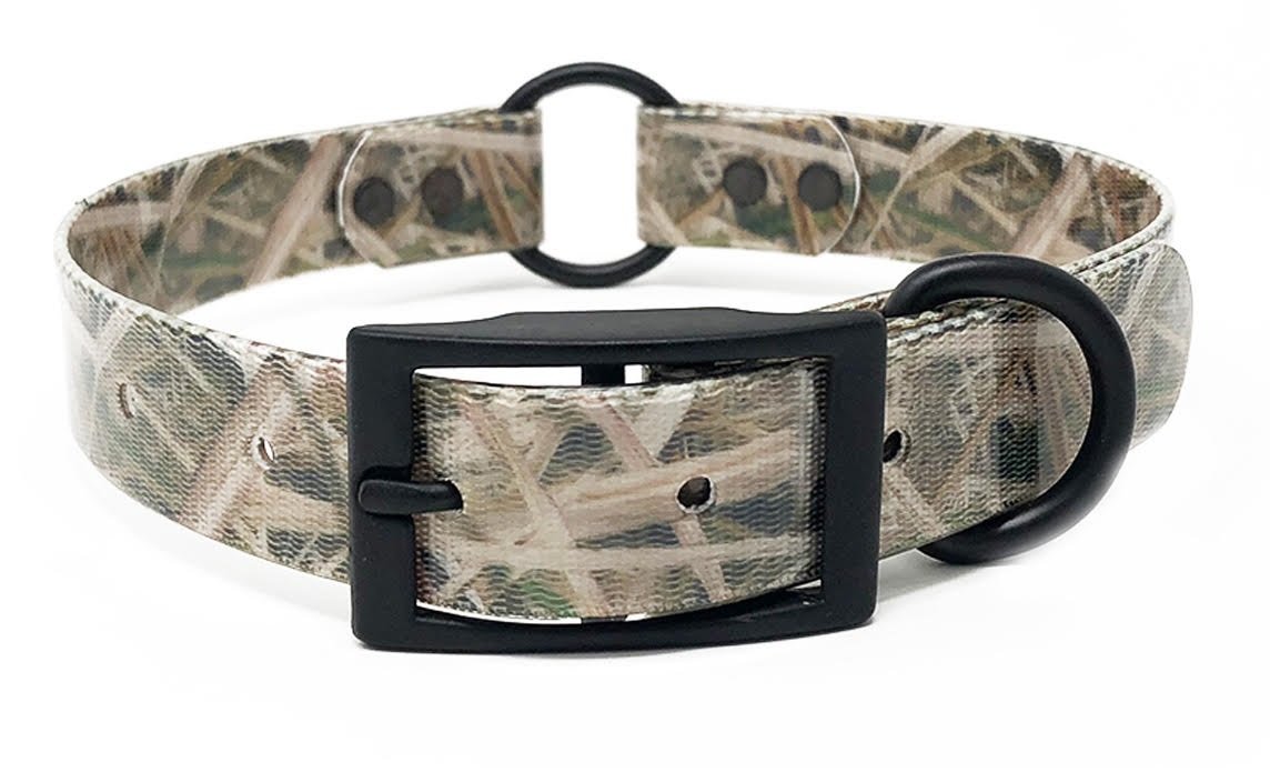 Best E Collar For Hunting Dog at Sherrie Mayes blog