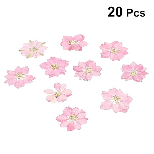 Supvox Séché Fleurs Pressé Naturelles Fleur Sèche Plante