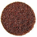 Shark 620TB 2-Inch Coarse Surface Preparation Discs, 25-Pack