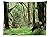 vipsung Rainforest Decorations Tablecloth Roosevelt Elk in Rainforest Wildlife National Park Washington Antlers Theme Dining Room Kitchen Rectangular Table Cover