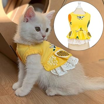 amazon cat dress