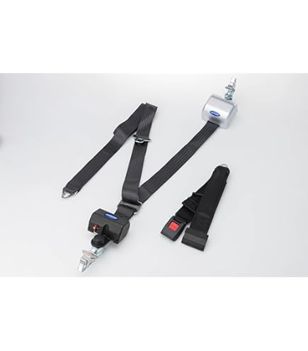 Amazon.com: Wheelchair Retractable Shoulder/Lap Belt Combo