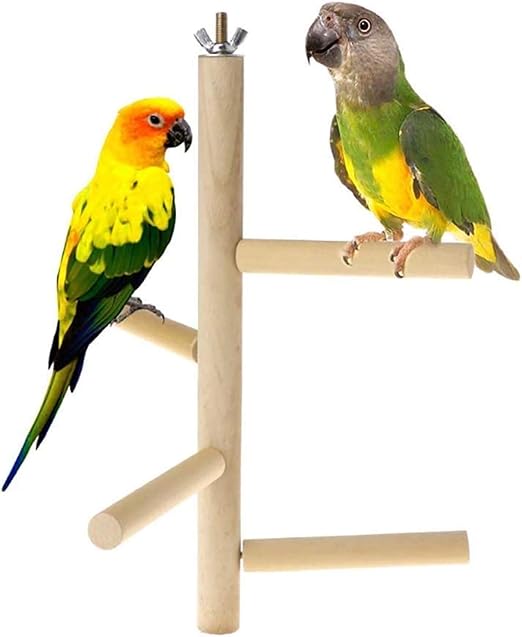 wooden parrots