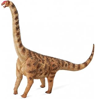 diplodocus collecta
