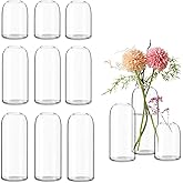 Etolies Glass Bud Vases in Bulk Set of 12, Clear Small Vases for Flowers,Modern Cylinder Glass Vase for Wedding Party Dining Table Centerpieces, Living Room Decorative, Home Decor.