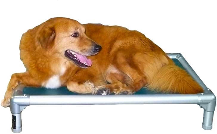 kuranda dog bed sale