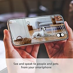 Blink Mini 2 — Home Security & Pet Camera(s) with