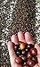 2lb Green Unroasted Coffee Brazil Acaia - From our family farm