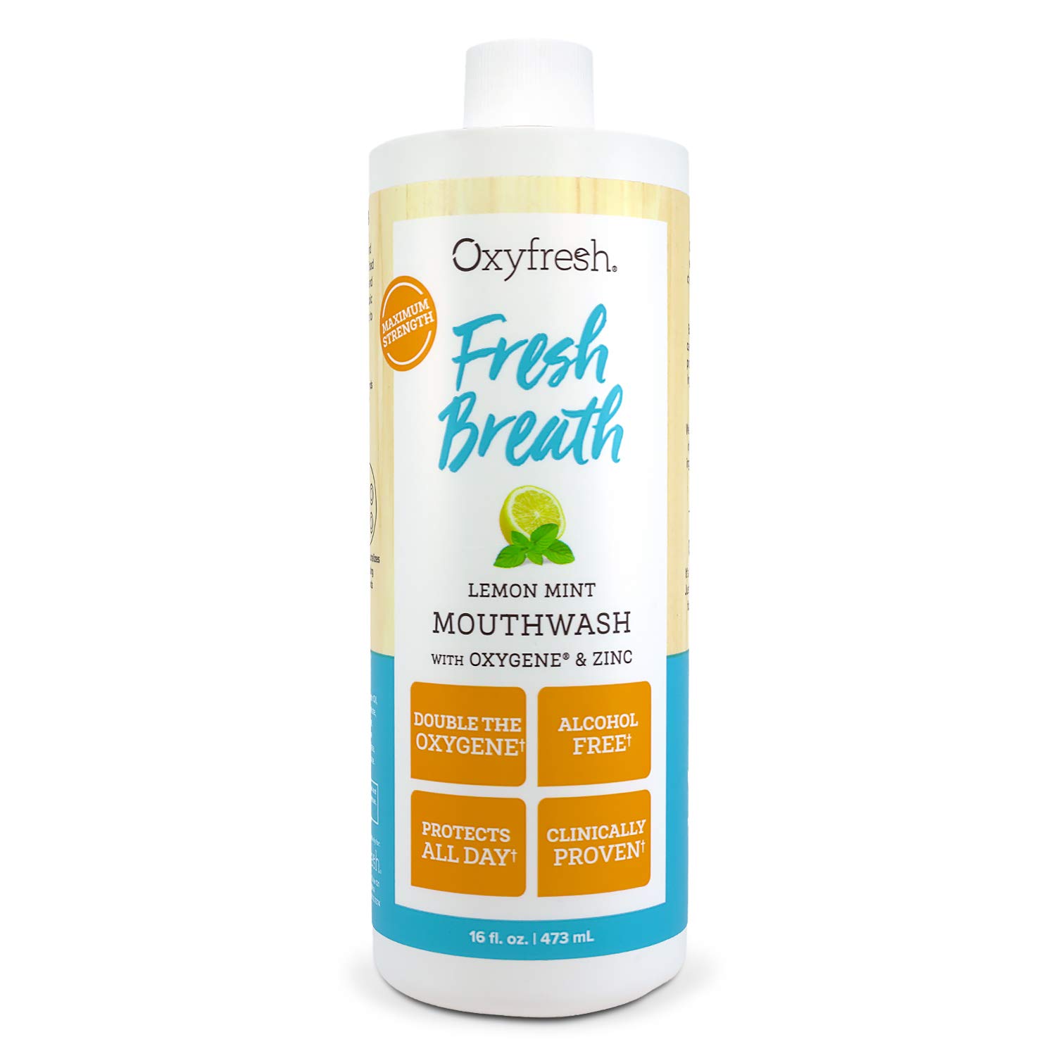 Oxyfresh Fresh Breath Lemon Mint Mouthwash | Award-Winning, Dentist-Recommended Bad Breath Mouthwash - Alcohol & Fluoride Free w/Aloe & Natural Essential Oils (1-16 oz Bottle) : Beauty