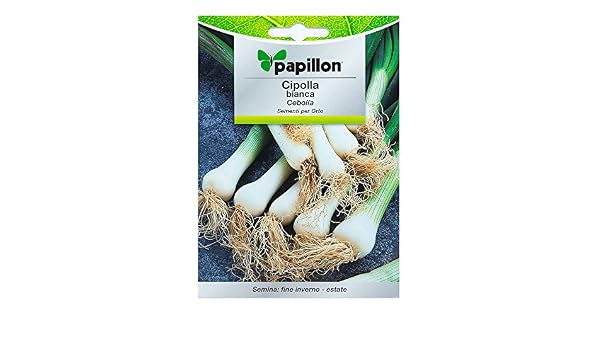 Semillas Cebolla Blanca (4 Gramos): Amazon.es: Jardín