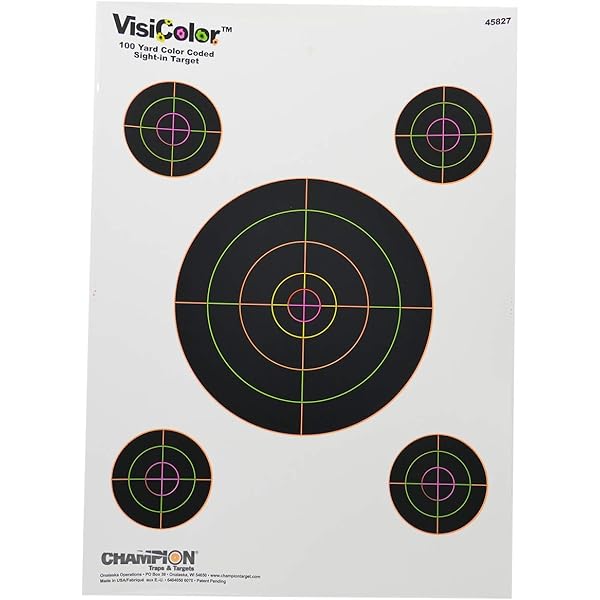 Amazon.com : Champion 45731 Scorekeeper 100yd Sight-in Rifle