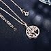 J.Rosée Tree of Life Necklace, (Rose Gold Plated Sterling Silver) with 925 Sterling Silver and 3A Cubic Zirconia, 18''+ 2