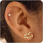 Fissen Jewelry Gold Studs Earrings For Women 14k Gold Plated Constellation Zodiac Earrings Sets For Women Trendy Hypoallergenic CZ Cartilage Earring Stack Small Piercing Earring Studs Fashion Jewelry