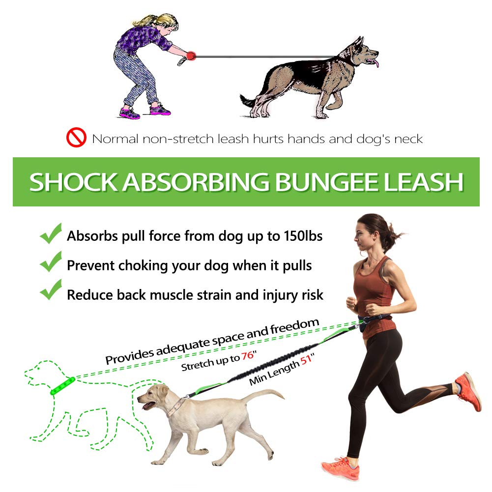 retractable waist leash