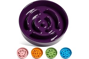 LE TAUCI Ceramic Slow Feeder Dog Bowls Small Breed, 0.6 Cups Dog Food Dish for Fast Eaters, Puzzle Bowl for Small Dogs and Cats,Purple