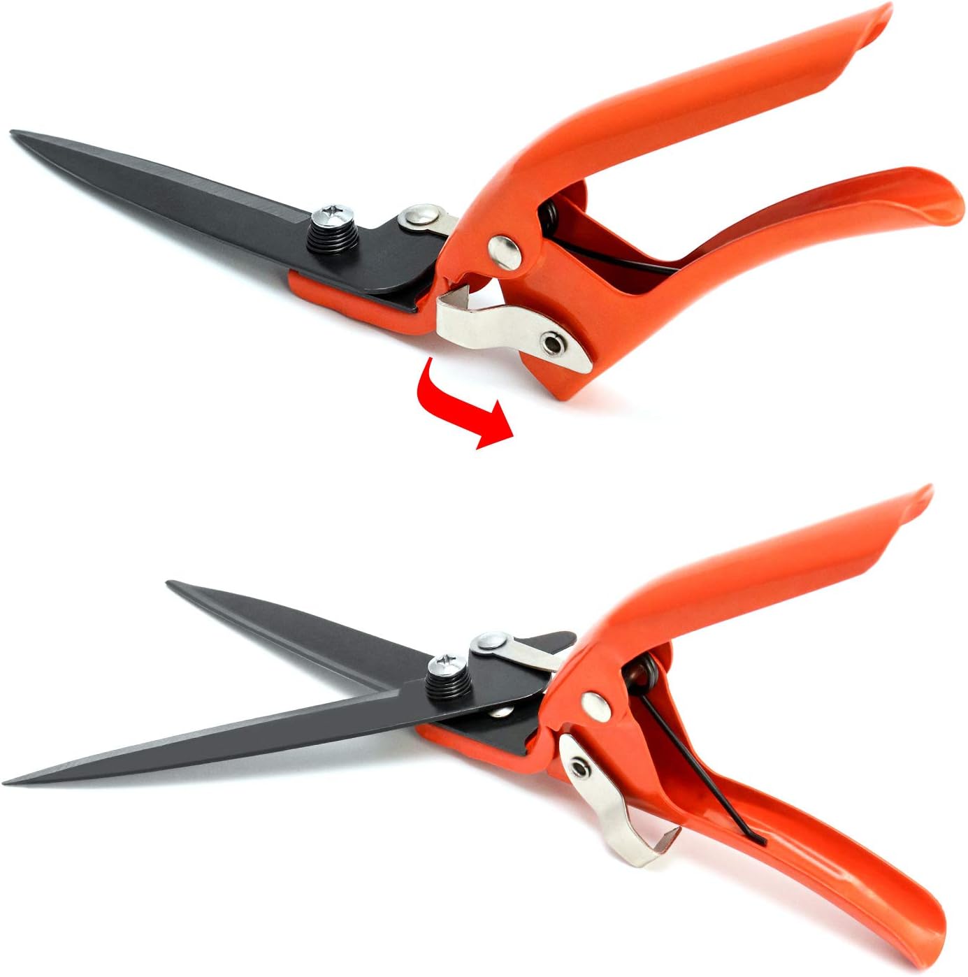 QWORK Garden Shears - Grass Shears with Comfort Grip Handle an Rigid Blade for Shearing Hedge/Branches/Flower and grass: Home Improvement