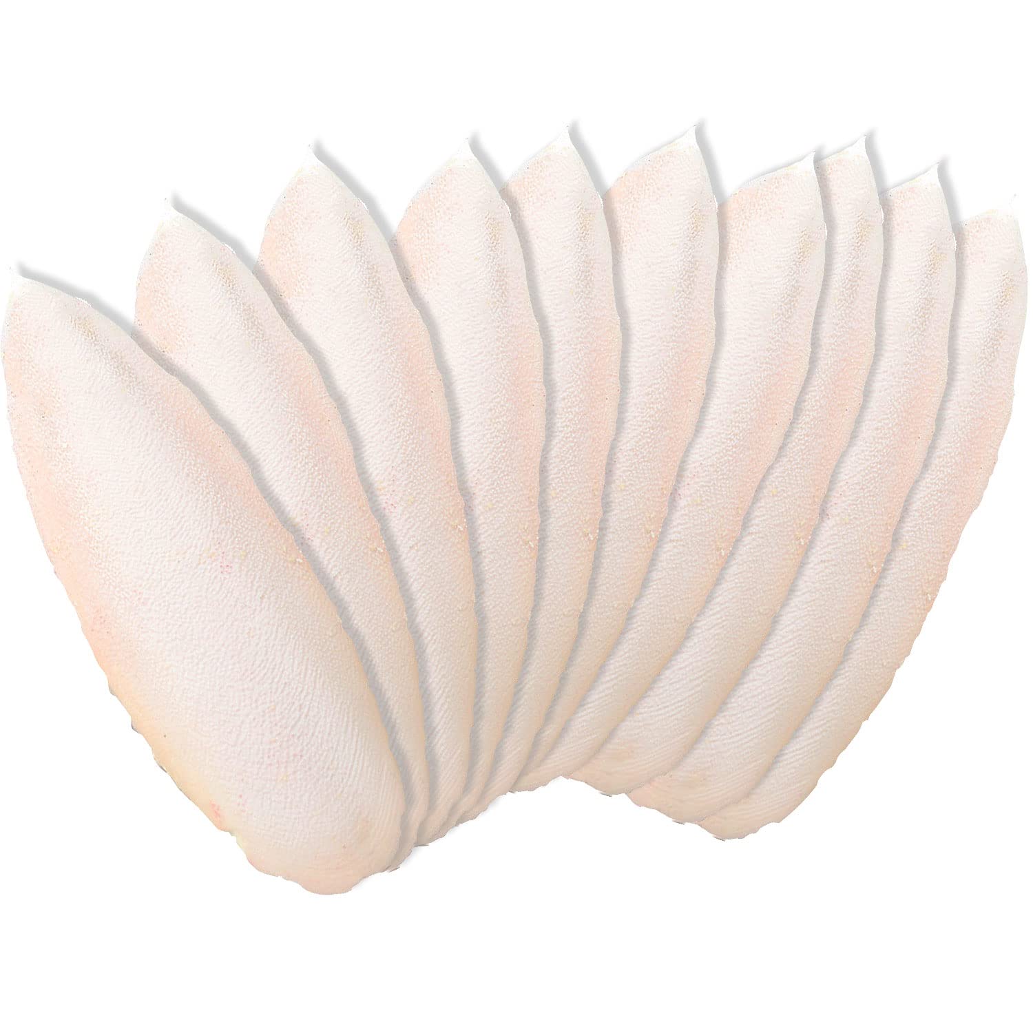 Newsmy 10 Pack Cuttlefish Bone for Birds, Natural Cuttlebone for Parrots and Budgies, Calcium Chew for Beak Care, Suitable for Snails and Tortoise [10Pcs 13CM]